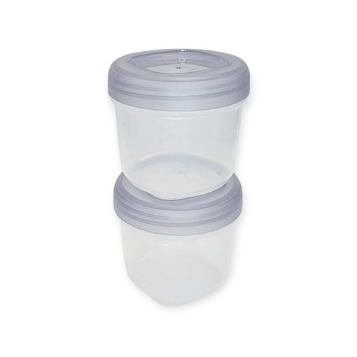 Picture of SMASH LEAKPROOF SNACK POTS FERN